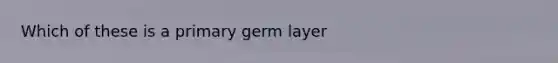 Which of these is a primary germ layer