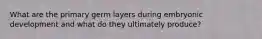 What are the primary germ layers during embryonic development and what do they ultimately produce?