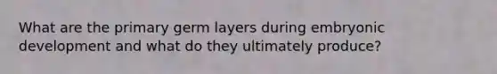 What are the primary germ layers during embryonic development and what do they ultimately produce?