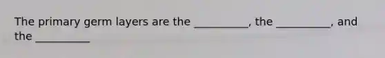 The primary germ layers are the __________, the __________, and the __________