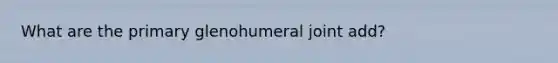 What are the primary glenohumeral joint add?