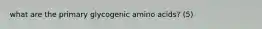 what are the primary glycogenic amino acids? (5)