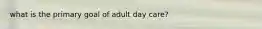 what is the primary goal of adult day care?