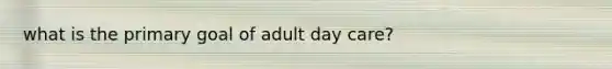 what is the primary goal of adult day care?