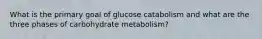 What is the primary goal of glucose catabolism and what are the three phases of carbohydrate metabolism?