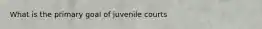 What is the primary goal of juvenile courts
