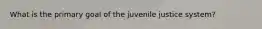 What is the primary goal of the juvenile justice system?