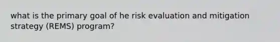 what is the primary goal of he risk evaluation and mitigation strategy (REMS) program?