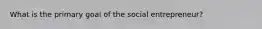 What is the primary goal of the social entrepreneur?