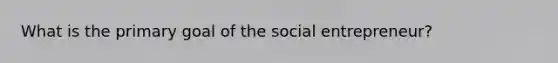 What is the primary goal of the social entrepreneur?