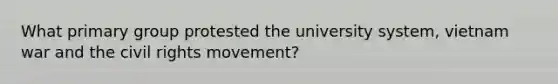 What primary group protested the university system, vietnam war and the civil rights movement?