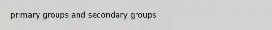 primary groups and secondary groups