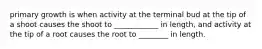 primary growth is when activity at the terminal bud at the tip of a shoot causes the shoot to ____________ in length, and activity at the tip of a root causes the root to ________ in length.