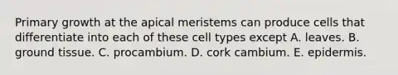 Primary growth at the apical meristems can produce cells that differentiate into each of these cell types except A. leaves. B. ground tissue. C. procambium. D. cork cambium. E. epidermis.