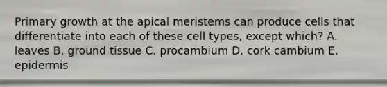 Primary growth at the apical meristems can produce cells that differentiate into each of these cell types, except which? A. leaves B. ground tissue C. procambium D. cork cambium E. epidermis