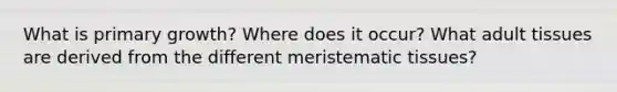 What is primary growth? Where does it occur? What adult tissues are derived from the different meristematic tissues?