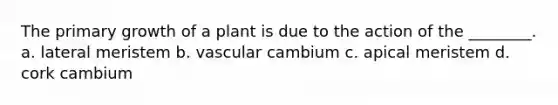 The primary growth of a plant is due to the action of the ________. a. lateral meristem b. vascular cambium c. apical meristem d. cork cambium