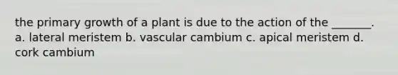 the primary growth of a plant is due to the action of the _______. a. lateral meristem b. vascular cambium c. apical meristem d. cork cambium