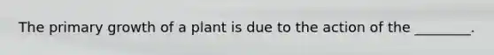 The primary growth of a plant is due to the action of the ________.