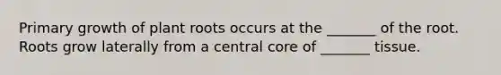 Primary growth of plant roots occurs at the _______ of the root. Roots grow laterally from a central core of _______ tissue.