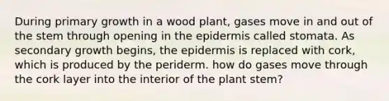 During primary growth in a wood plant, gases move in and out of the stem through opening in <a href='https://www.questionai.com/knowledge/kBFgQMpq6s-the-epidermis' class='anchor-knowledge'>the epidermis</a> called stomata. As secondary growth begins, the epidermis is replaced with cork, which is produced by the periderm. how do gases move through the cork layer into the interior of the plant stem?