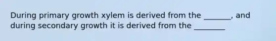 During primary growth xylem is derived from the _______, and during secondary growth it is derived from the ________