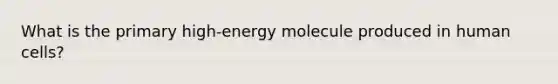 What is the primary high-energy molecule produced in human cells?