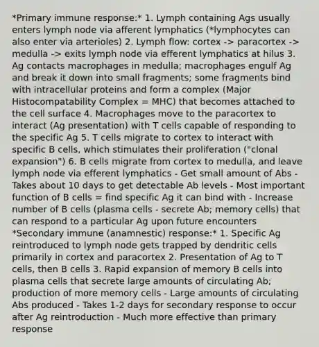 *Primary immune response:* 1. Lymph containing Ags usually enters lymph node via afferent lymphatics (*lymphocytes can also enter via arterioles) 2. Lymph flow: cortex -> paracortex -> medulla -> exits lymph node via efferent lymphatics at hilus 3. Ag contacts macrophages in medulla; macrophages engulf Ag and break it down into small fragments; some fragments bind with intracellular proteins and form a complex (Major Histocompatability Complex = MHC) that becomes attached to the cell surface 4. Macrophages move to the paracortex to interact (Ag presentation) with T cells capable of responding to the specific Ag 5. T cells migrate to cortex to interact with specific B cells, which stimulates their proliferation ("clonal expansion") 6. B cells migrate from cortex to medulla, and leave lymph node via efferent lymphatics - Get small amount of Abs - Takes about 10 days to get detectable Ab levels - Most important function of B cells = find specific Ag it can bind with - Increase number of B cells (plasma cells - secrete Ab; memory cells) that can respond to a particular Ag upon future encounters *Secondary immune (anamnestic) response:* 1. Specific Ag reintroduced to lymph node gets trapped by dendritic cells primarily in cortex and paracortex 2. Presentation of Ag to T cells, then B cells 3. Rapid expansion of memory B cells into plasma cells that secrete large amounts of circulating Ab; production of more memory cells - Large amounts of circulating Abs produced - Takes 1-2 days for secondary response to occur after Ag reintroduction - Much more effective than primary response