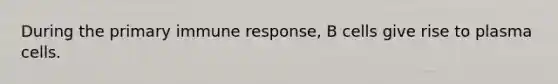During the primary immune response, B cells give rise to plasma cells.