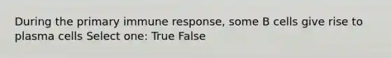 During the primary immune response, some B cells give rise to plasma cells Select one: True False