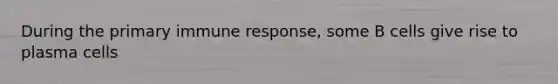 During the primary immune response, some B cells give rise to plasma cells