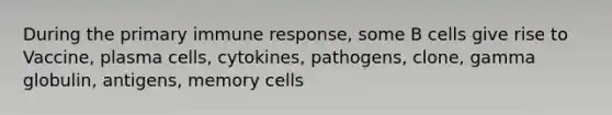 During the primary immune response, some B cells give rise to Vaccine, plasma cells, cytokines, pathogens, clone, gamma globulin, antigens, memory cells