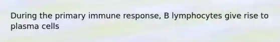 During the primary immune response, B lymphocytes give rise to plasma cells
