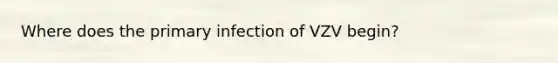 Where does the primary infection of VZV begin?