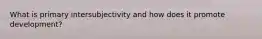 What is primary intersubjectivity and how does it promote development?