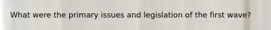 What were the primary issues and legislation of the first wave?