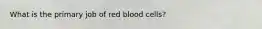 What is the primary job of red blood cells?