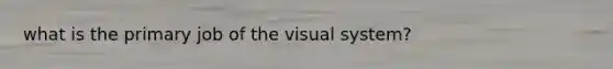 what is the primary job of the visual system?