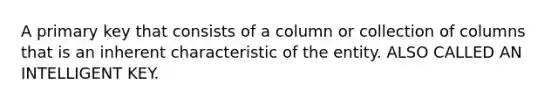 A primary key that consists of a column or collection of columns that is an inherent characteristic of the entity. ALSO CALLED AN INTELLIGENT KEY.