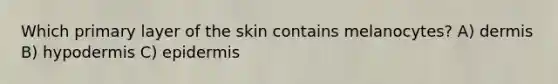 Which primary layer of the skin contains melanocytes? A) dermis B) hypodermis C) epidermis