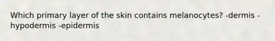 Which primary layer of the skin contains melanocytes? -dermis -hypodermis -epidermis