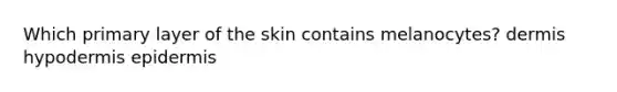 Which primary layer of the skin contains melanocytes? dermis hypodermis epidermis