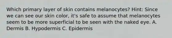 Which primary layer of skin contains melanocytes? Hint: Since we can see our skin color, it's safe to assume that melanocytes seem to be more superficial to be seen with the naked eye. A. Dermis B. Hypodermis C. Epidermis