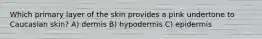 Which primary layer of the skin provides a pink undertone to Caucasian skin? A) dermis B) hypodermis C) epidermis
