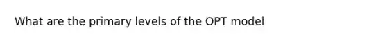 What are the primary levels of the OPT model