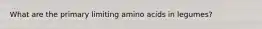 What are the primary limiting amino acids in legumes?