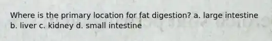 Where is the primary location for fat digestion? a. large intestine b. liver c. kidney d. small intestine