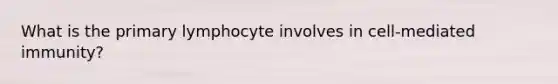 What is the primary lymphocyte involves in cell-mediated immunity?