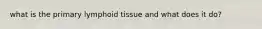 what is the primary lymphoid tissue and what does it do?