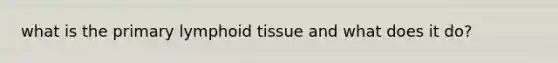 what is the primary lymphoid tissue and what does it do?